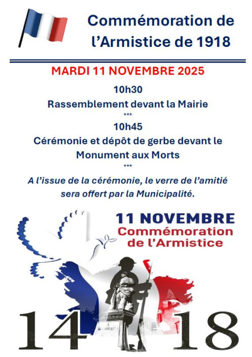 Cérémonie 11 Novembre.JPG